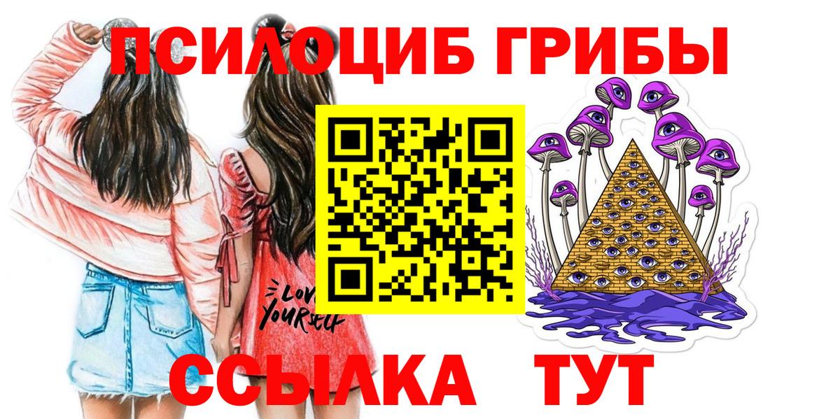 Псилоцибиновые грибы Psilocybe  Вход с VPN  Мичуринск  Псилоцибиновые грибы Psilocybe 