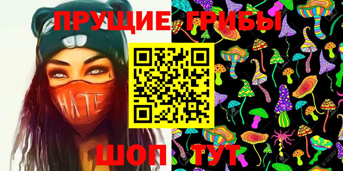 Псилоцибиновые грибы GOLDEN TEACHER Мичуринск