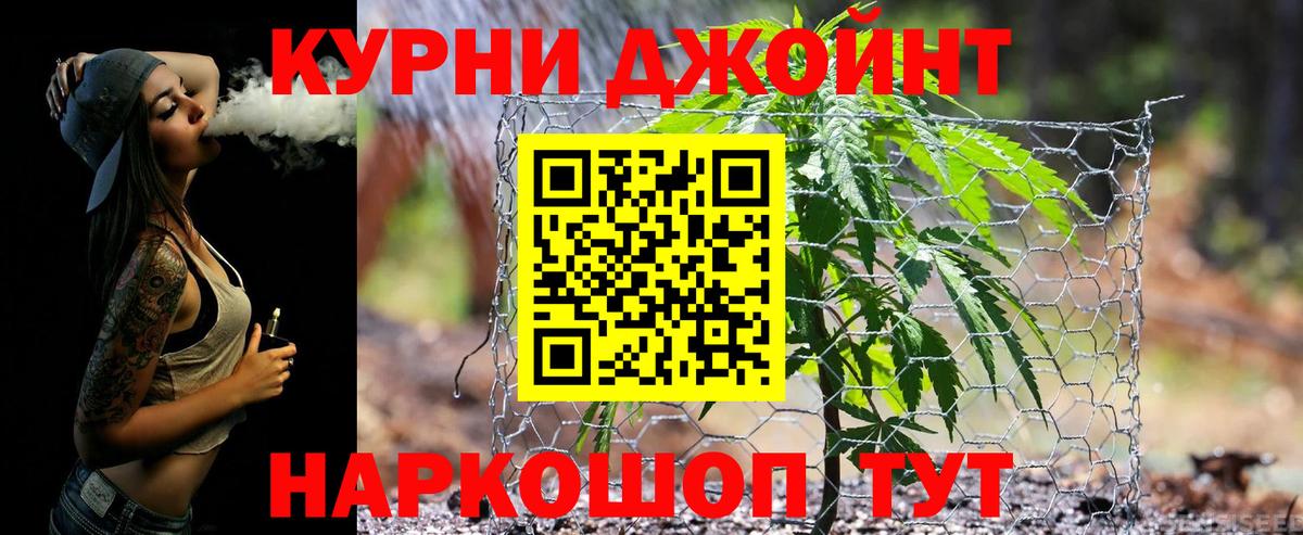 Канабис сатива  Бошки марихуана план  Бошки Шишки ГИДРОПОН  Вход с VPN  Мичуринск 